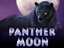 Panther Moon в казино Вулкан